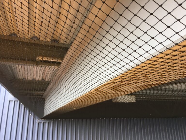 Bird Netting No More Birds