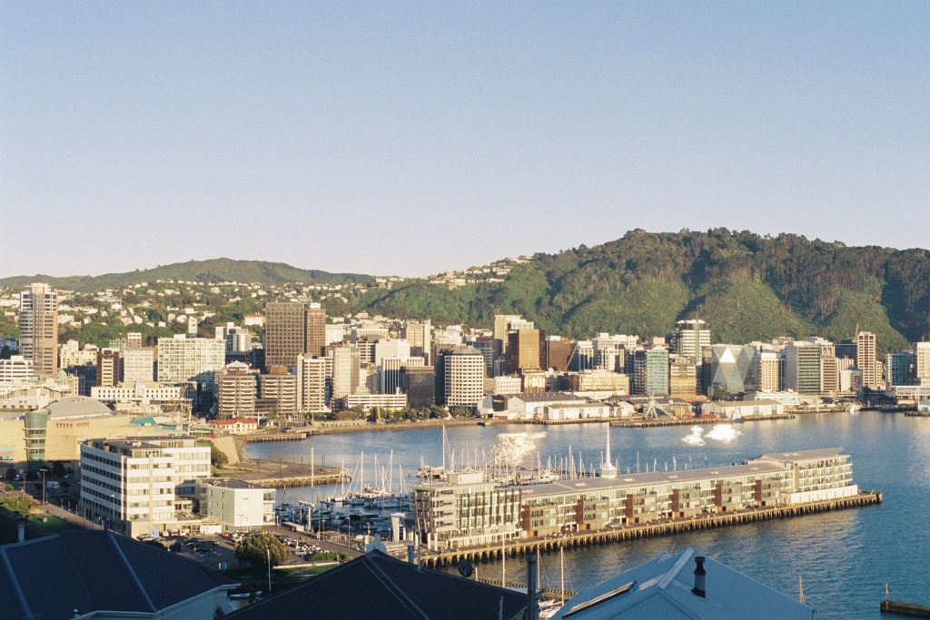 pest bird control Wellington city